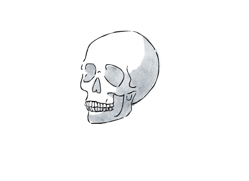 loader image